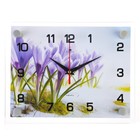 Часы настенные, серия: Цветы, "Подснежники" 20х26 см - фото 3146448