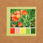 Набор цветного песка №9, 5 цветов, по 100 гр - Фото 4