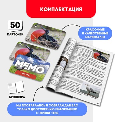 Мемо «Мир птиц», 50 карт, 5+