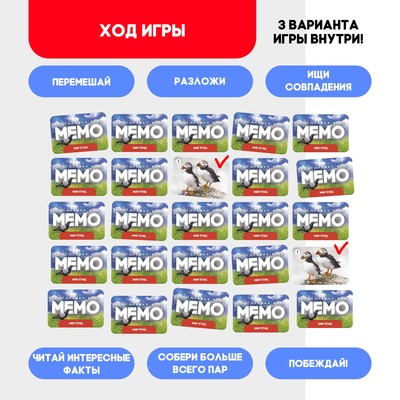 Мемо «Мир птиц», 50 карт, 5+