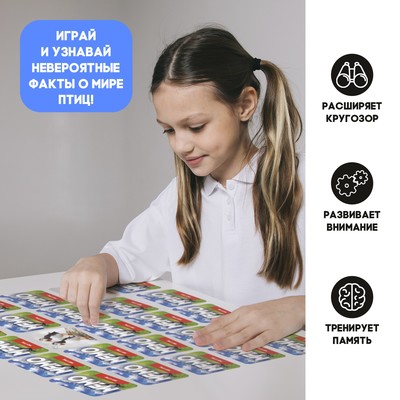 Мемо «Мир птиц», 50 карт, 5+
