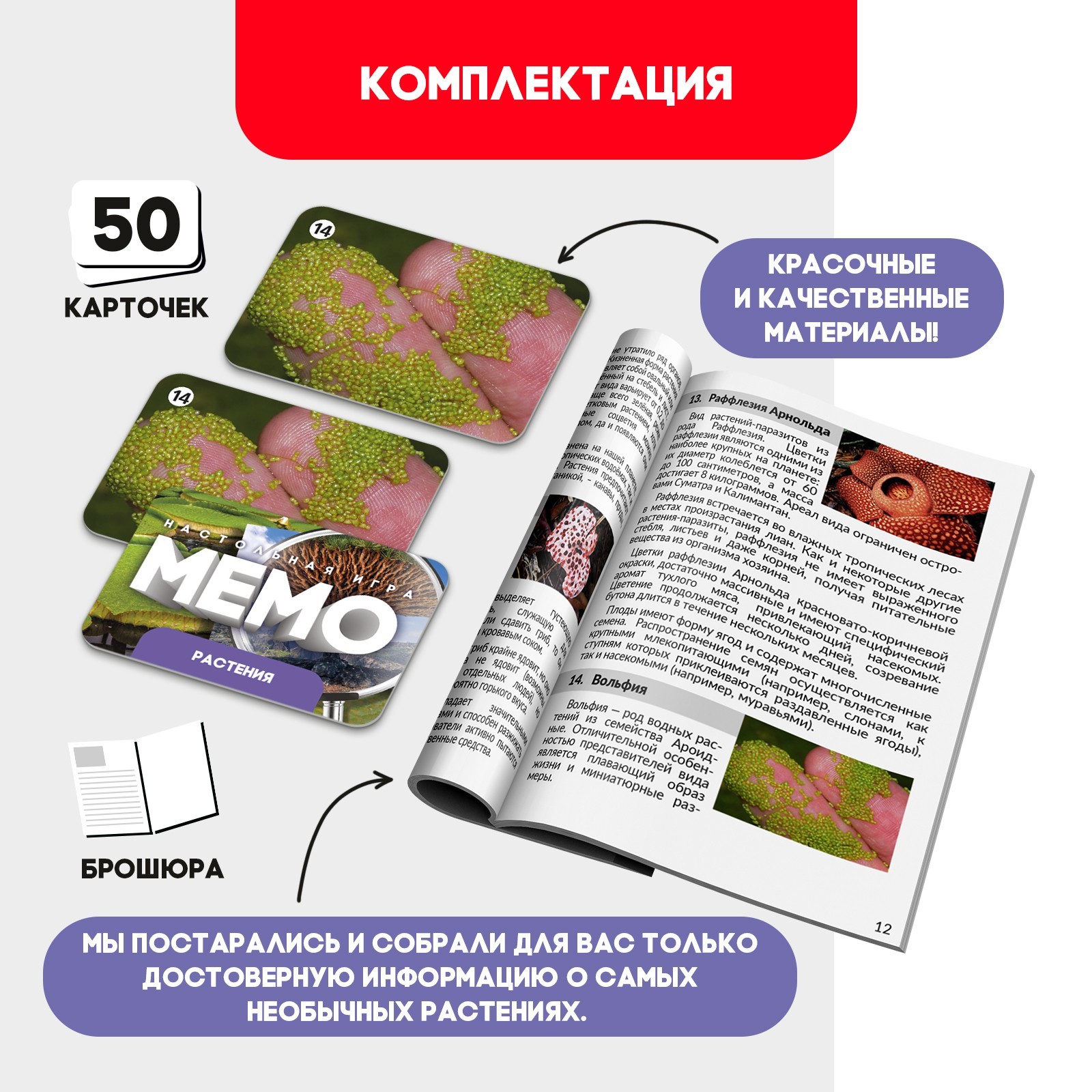 Мемо «Растения» (9934007) - Купить по цене от 167.00 руб. | Интернет ...