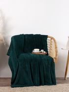 Плед «Этель», 200×220 см,100% п/э, корал-флис, изумрудный - Фото 4