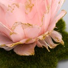 Сувенир на прищепке "Цветок из перышек" 10х10х10 см - фото 7878603
