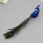 Пушистик на прищепке "Тропическая птица с пером павлина" МИКС 5,5х8х35 см - Фото 3
