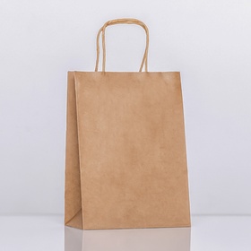 Пакет крафт без печати, круглая ручка, 15?21?8 см, 120 г (комплект 12 шт)