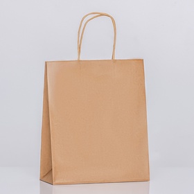 Пакет крафт без печати, круглая ручка, 27?21?11 см, 120 г (комплект 12 шт)