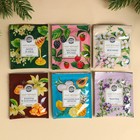 Чай подарочный «Счастья в дом», 54 г (30 пакетиков × 1.8 г). - Фото 4