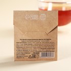 Чайный пакетик в крафт-конверте «Все сбудется», вкус: тропические фрукты, 1,8 г. - Фото 3