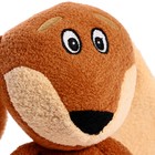 Мягкая игрушка «Такса», 33 см - фото 23275691