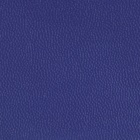 Набор заплаток для ремонта подпяточников обуви, из кожзама, клеевые, 6 шт., синий - Фото 4