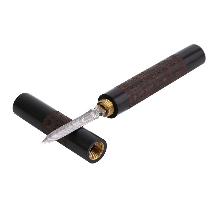 Нож для китайского чая Пуэр ДЖЕКИЧАЙ, 17×1.8 см, нержавеющая сталь, дерево - Фото 1