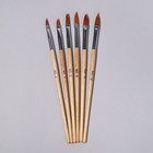 Набор кистей для наращивания и дизайна ногтей, форма лепесток, 6 шт, 19,5 см, цвет коричневый - фото 7879306
