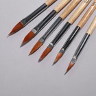 Набор кистей для наращивания и дизайна ногтей, форма лепесток, 6 шт, 19,5 см, цвет коричневый - фото 7879307