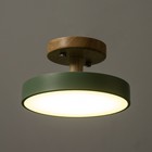 Светильник "Ринд" LED 13Вт 4000К зеленый 18х18х10 см BayerLux - Фото 3