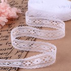 Кружево капроновое, 22 мм × 10 ± 1 м, цвет белый - Фото 1