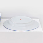 Набор фарфоровых тарелок «Гуси», 12 предметов: 6 супниц 350 мл, 6 плоских тарелок d=20 см, рисунок микс - Фото 11