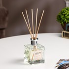 Диффузор ароматический Areon Sticks, бабл гам 150 мл - Фото 2