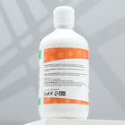 Шампунь «Пижон» для кошек и собак, с ароматом Bubble Gum, 500 мл - Фото 3