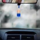 Ароматизатор в машину «23 Февраля», набор 2 шт., аромат цитрус, новая машина - Фото 6