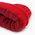 Шапка детская, цвет красный, размер 52-54 - фото 23276172