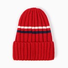 Шапка детская, цвет красный, размер 52-54 - фото 23276173
