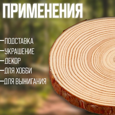 Деревянный декор «Спил дерева. Сосна», размер: от 13 до 14 см