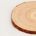 Деревянный декор «Спил дерева» размер: от 13 до14 см - фото 8632216