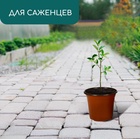 Горшок для рассады, 1.1 л, d=14 см, h=12 см, мягкий пластик, терракот, Greengo - Фото 3