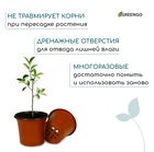 Горшок для рассады, 1.1 л, d=14 см, h=12 см, мягкий пластик, терракот, Greengo - Фото 7