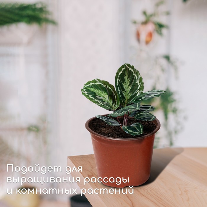 Горшок для рассады, 2 л, d = 16 см, h = 15 см, терракот, Greengo