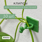 Крепления для вьющихся растений, d = 9 мм, Greengo - Фото 1