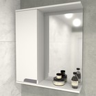 Шкаф-зеркало Леон 60, левый, цвет серый, 15 х 60 х 70 - Фото 1