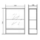 Шкаф-зеркало Флора 55, цвет сонома, 15 х 55 х 70 10219538 - фото 319927126
