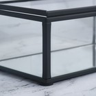 Органайзер для хранения, 1 секция, с крышкой, стеклянный, с зеркальным основанием, 17 × 10,5 см, цвет прозрачный/чёрный - фото 24987971