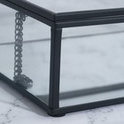 Органайзер для хранения, 1 секция, с крышкой, стеклянный, с зеркальным основанием, 20 × 16 см, цвет прозрачный/чёрный - Фото 7