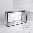 Органайзер для хранения «Wet Glass», 1 секция, стеклянный, с зеркальным основанием, 24 × 14 см, цвет прозрачный/чёрный - фото 23416021