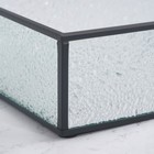 Органайзер для хранения «Wet Glass», 1 секция, стеклянный, с зеркальным основанием, 29 × 17,5 см, цвет прозрачный/чёрный - фото 23493220