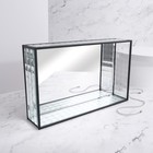 Органайзер для хранения «Square», 1 секция, стеклянный, с зеркальным основанием, 29 × 17,5 см, цвет прозрачный/чёрный - Фото 4