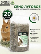Сено луговое «Пижон» лепестки ромашки, для грызунов, 20 л, 500 г - Фото 1