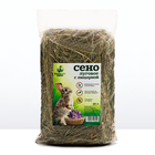 Сено луговое с люцерной «Пижон» для грызунов, 20 л, 500 г - Фото 6