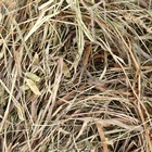 Сено луговое с люцерной «Пижон» для грызунов, 20 л, 500 г - Фото 6