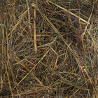 Сено луговое с люцерной «Пижон» для грызунов, 20 л, 500 г - Фото 8