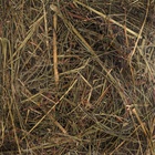 Сено луговое с люцерной «Пижон» для грызунов, 20 л, 500 г - Фото 10