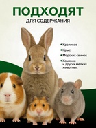 Сено луговое с клевером «Пижон» для грызунов, 20 л, 500 г - Фото 2