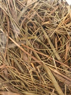 Сено луговое с клевером «Пижон» для грызунов, 20 л, 500 г - Фото 10