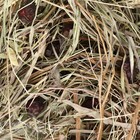 Сено луговое с плодами шиповника «Пижон» для грызунов, 20 л, 500 г - фото 7880922