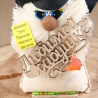 Домовёнок "Любимой Бабушке", в кепке, 18 см - фото 23289151