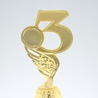 Кубок «3 место», наградная фигура, золото, подставка пластик, 16,8 × 6,2 × 6,4 см. - фото 8555045