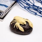 Фигурка полистоун «Рак на камне», 10×6×5 см - Фото 1